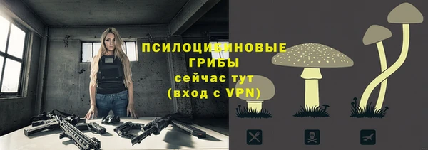 jwh Дмитриев