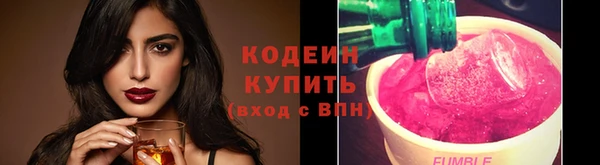 прущий лед Гусев